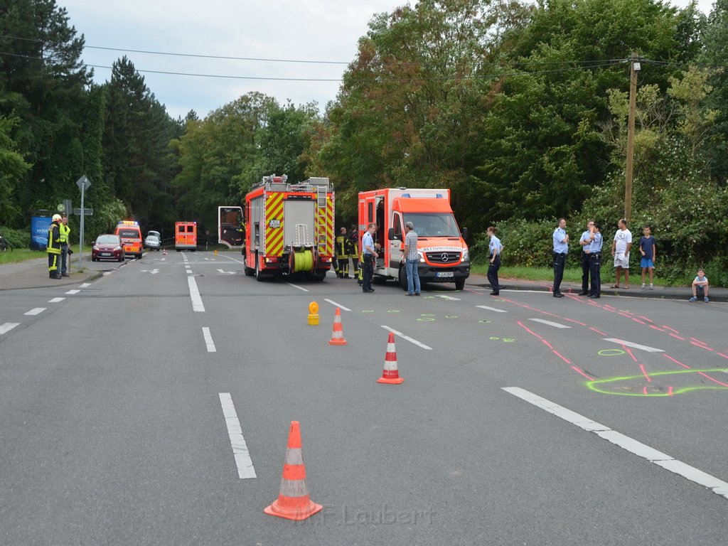 PKlemm Koeln Duennwald Am Weissen Moench Duennwalder Kommunalweg P65.JPG - Miklos Laubert